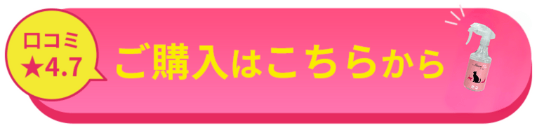 ご購入はこちらから